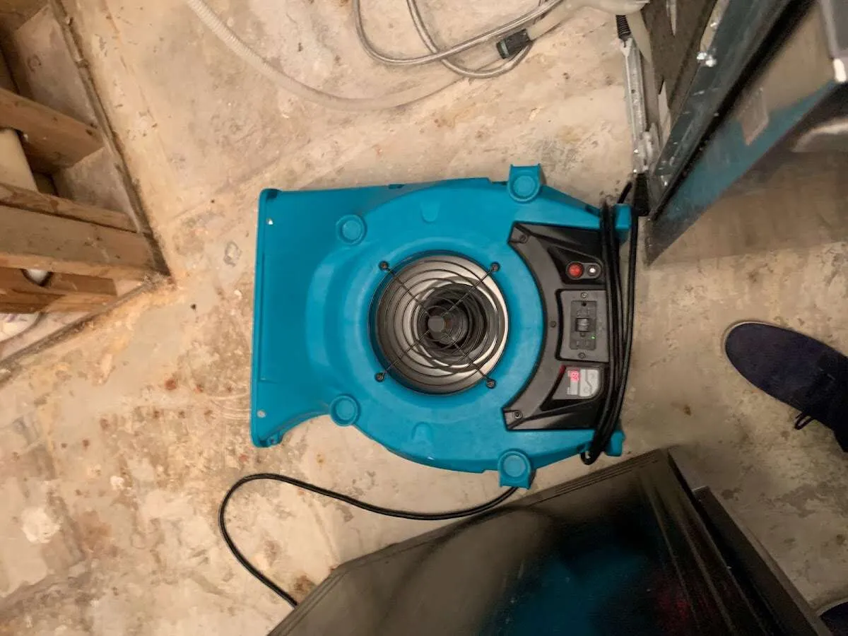 Air mover drying equipment for Mold Remediation & Removal in Marshalltown